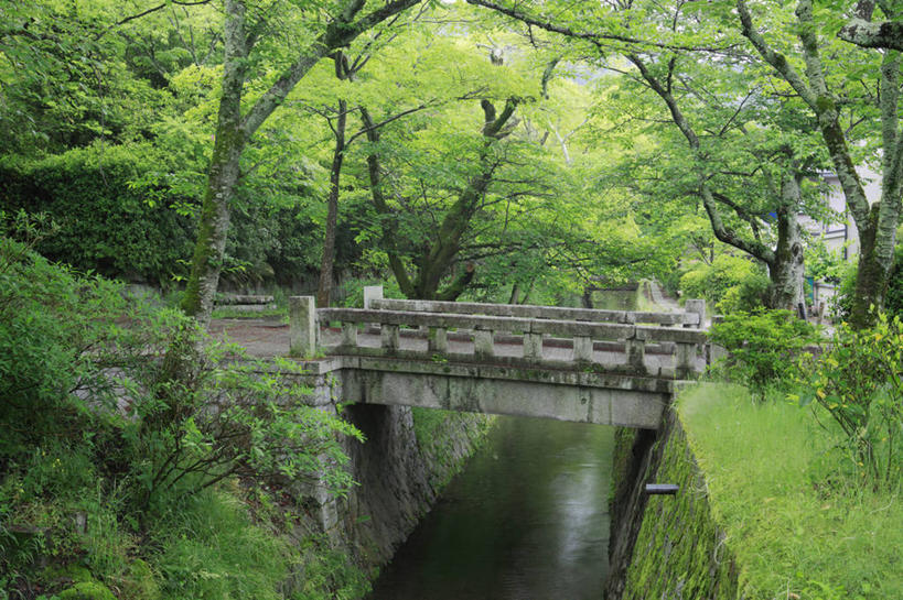 无人,栏杆,横图,室外,白天,正面,旅游,度假,草地,草坪,河流,石头,美景,水,植物,京都,日本,亚洲,波纹,石子,河水,景观,水流,围栏,桥,涟漪,娱乐,石桥,护栏,拱桥,栈桥,草,树,树木,绿色,水纹,自然,波浪,享受,休闲,景色,放松,京都府,拱形,生长,成长,人行桥,石拱桥,自然风光,东亚,本州,本州岛,日本国,近畿地方,近畿,水晕,左京区,石块,彩图