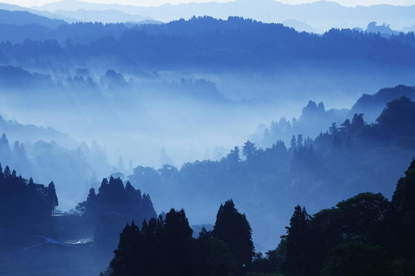 无人,横图,俯视,室外,白天,旅游,度假,美景,森林,山,山脉,树林,植物,雾,日本,亚洲,朦胧,模糊,景观,山峰,山峦,背光,娱乐,树,树木,绿色,自然,群山,享受,休闲,景色,放松,生长,成长,迷雾,自然风光,逆光,东亚,本州,本州岛,日本国,中部地方,新潟,新潟县,大雾,彩图,高角度拍摄,十日町市