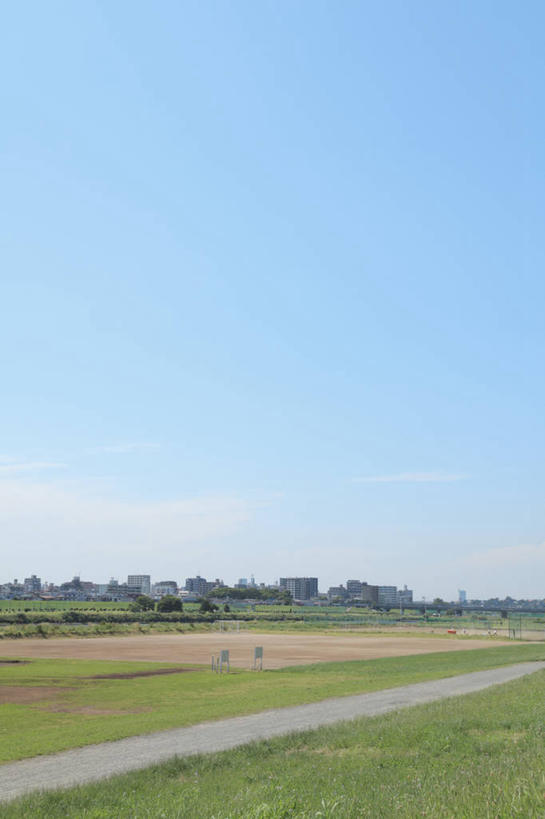 无人,竖图,室外,白天,正面,度假,草地,草坪,河流,美景,水,植物,城市风光,城市,道路,路,东京,日本,亚洲,阴影,光线,影子,河水,景观,水流,小路,交通,娱乐,草,树,树木,蓝色,绿色,蓝天,天空,阳光,自然,天,享受,休闲,景色,放松,生长,晴朗,成长,东亚,本州,万里无云,关东地方,本州岛,日本国,东京都,大田区,晴空,晴空万里,彩图