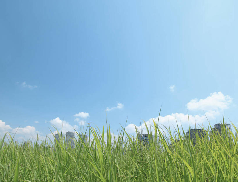 无人,高楼大厦,横图,室外,白天,正面,度假,草地,草坪,美景,植物,城市风光,城市,大厦,建筑,摩天大楼,东京,日本,亚洲,阴影,光线,影子,景观,云,云朵,云彩,娱乐,建设,草,蓝色,绿色,白云,蓝天,天空,阳光,天,享受,休闲,景色,放松,晴朗,东亚,本州,关东地方,本州岛,日本国,东京都,大田区,晴空,彩图,大楼,高层建筑,高楼,摩天楼