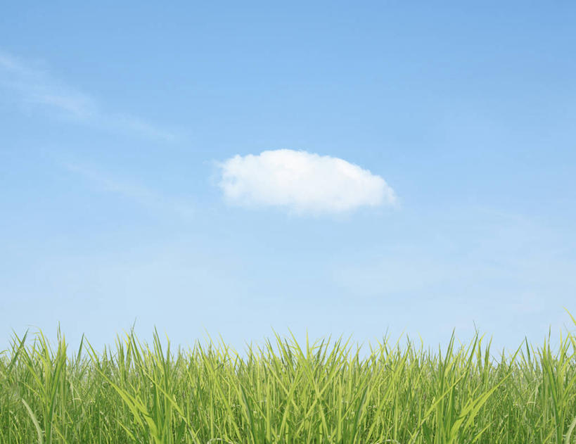 无人,横图,室外,白天,正面,旅游,度假,草地,草坪,美景,植物,东京,日本,亚洲,阴影,光线,影子,景观,云,云朵,云彩,娱乐,草,蓝色,绿色,白云,蓝天,天空,阳光,自然,天,享受,休闲,景色,放松,晴朗,自然风光,东亚,本州,关东地方,本州岛,日本国,东京都,大田区,晴空,彩图