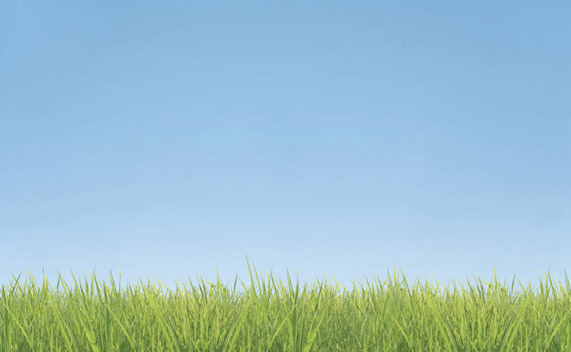 无人,横图,室外,白天,正面,旅游,度假,草地,草坪,美景,植物,东京,日本,亚洲,阴影,光线,影子,景观,娱乐,草,蓝色,绿色,蓝天,天空,阳光,自然,天,享受,休闲,景色,放松,晴朗,自然风光,东亚,本州,万里无云,关东地方,本州岛,日本国,东京都,大田区,晴空,晴空万里,彩图