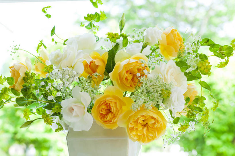 无人,横图,室外,特写,白天,正面,爱情,幸福,纯洁,智慧,热情,美景,植物,玫瑰,花瓶,许多,阴影,朦胧,模糊,艺术,装饰,光线,蕾丝花,影子,陶瓷,景观,玫瑰花,陶瓷制品,浪漫,文化,黄玫瑰,树,树木,黄色,绿色,白色,阳光,自然,插花,瓶子,白玫瑰,温暖,温馨,景色,恩爱,生长,成长,华丽,修饰,插花艺术,点缀,和睦,创造,自然风光,创作,白雪花,感动,想象,衬托,美观,雅致,雅观,尊敬,理性,天真,刺玫花,徘徊花,彩图,白缎带花,雪珠花,融洽