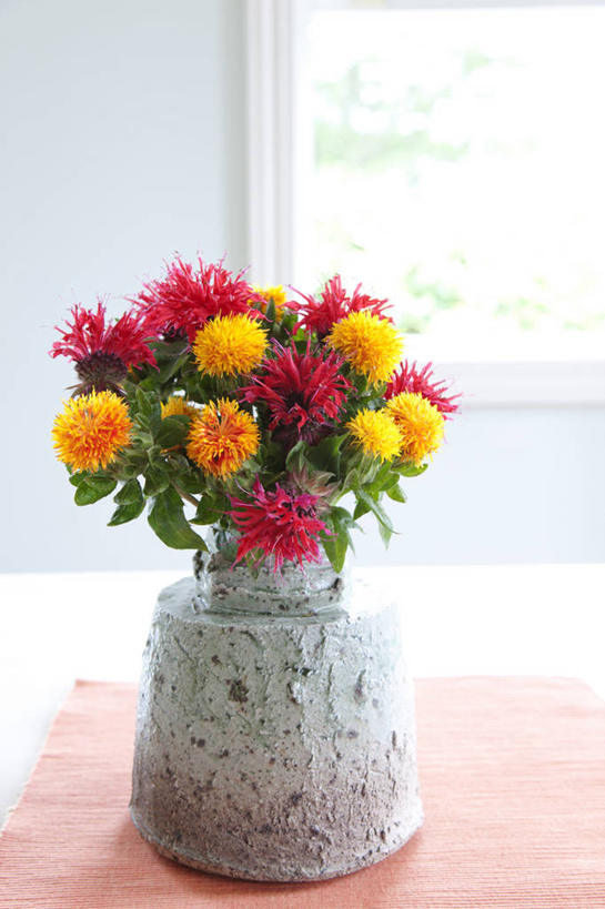 无人,竖图,室内,特写,白天,正面,智慧,植物,窗户,花瓶,许多,阴影,艺术,装饰,盛开,反射,布料,影子,陶瓷,墙,草药,药草,陶瓷制品,很多,花蕾,布纹,文化,佛手,中药,玻璃窗,墙壁,墙面,桌布,花,花瓣,花朵,鲜花,一个,黄色,红色,白色,插花,餐巾,瓶子,台布,红花,花苞,花蕊,佛手柑,单个,华丽,修饰,插花艺术,吉祥,点缀,创造,创作,药材,中草药,想象,中药材,本草,杜红花,衬托,美观,雅致,雅观,草红,草红花,幸运,餐桌布,彩图,九爪木,五指橘