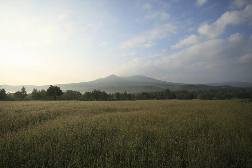 无人,横图,室外,白天,正面,旅游,度假,草地,草坪,美景,山,山脉,树林,植物,雾,日本,亚洲,阴影,朦胧,模糊,光线,影子,景观,山峰,云,云朵,山峦,云彩,娱乐,草,树,树木,蓝色,绿色,白云,蓝天,天空,阳光,自然,群山,天,享受,休闲,景色,放松,生长,晴朗,成长,迷雾,自然风光,东亚,本州,本州岛,日本国,青森,青森县,东北地方,大雾,晴空,彩图,八甲田山