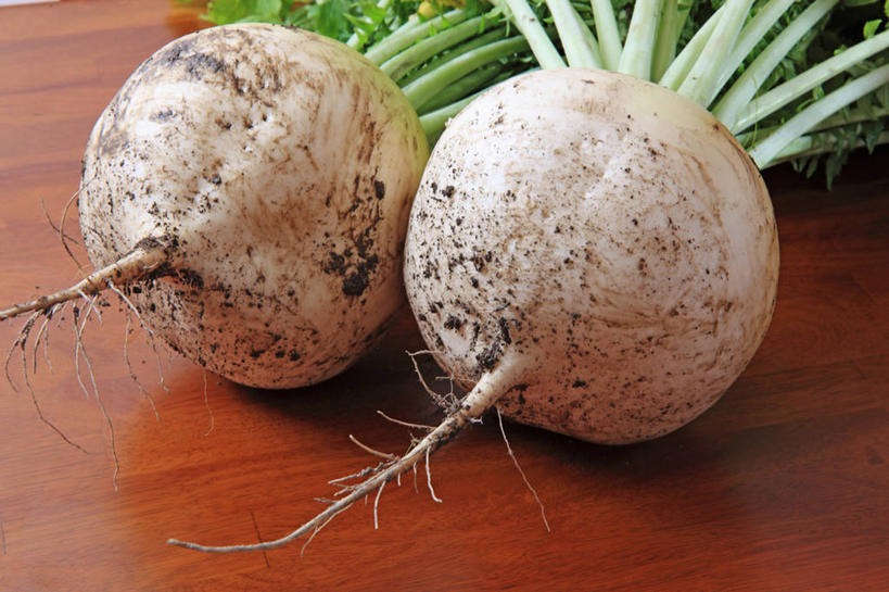 无人,横图,俯视,室内,特写,白天,桌面,桌子,蔬菜,阴影,新鲜,反射,木制,影子,食品,芜菁,食物,木制品,有机食品,绿色食品,蔓菁,盘菜,大头芥,彩图,高角度拍摄