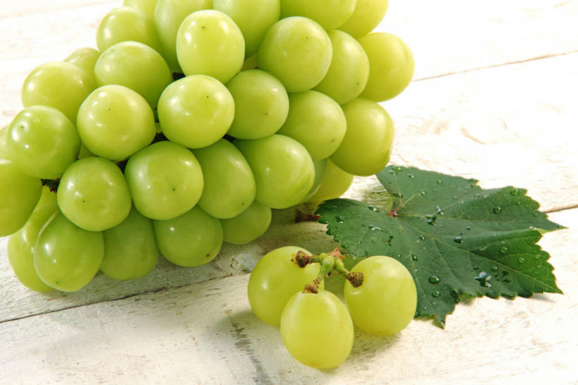 无人,横图,俯视,室内,特写,白天,葡萄,水果,叶子,一堆,许多,堆叠,堆积,新鲜,瓷砖,地砖,生食,食品,果实,绿叶,地面,很多,食物,嫩叶,摄影,有机食品,绿色食品,影棚,堆,叶,叶片,山葫芦,蒲桃,草龙珠,彩图,高角度拍摄,影棚拍摄,拍摄,白麝香