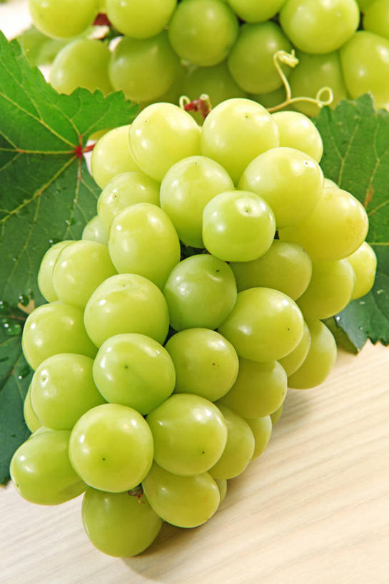 无人,竖图,俯视,室内,特写,白天,白色背景,葡萄,水果,叶子,一堆,许多,堆叠,堆积,新鲜,生食,食品,果实,绿叶,很多,食物,绿色,嫩叶,摄影,有机食品,绿色食品,影棚,堆,叶,叶片,山葫芦,蒲桃,草龙珠,彩图,高角度拍摄,影棚拍摄,拍摄,白麝香