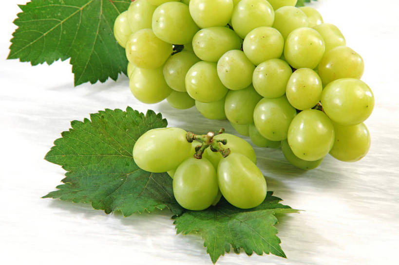 无人,横图,俯视,室内,特写,白天,白色背景,葡萄,水果,叶子,一堆,许多,堆叠,堆积,新鲜,生食,食品,果实,绿叶,很多,食物,绿色,嫩叶,摄影,有机食品,绿色食品,影棚,堆,叶,叶片,山葫芦,蒲桃,草龙珠,彩图,高角度拍摄,影棚拍摄,拍摄,白麝香