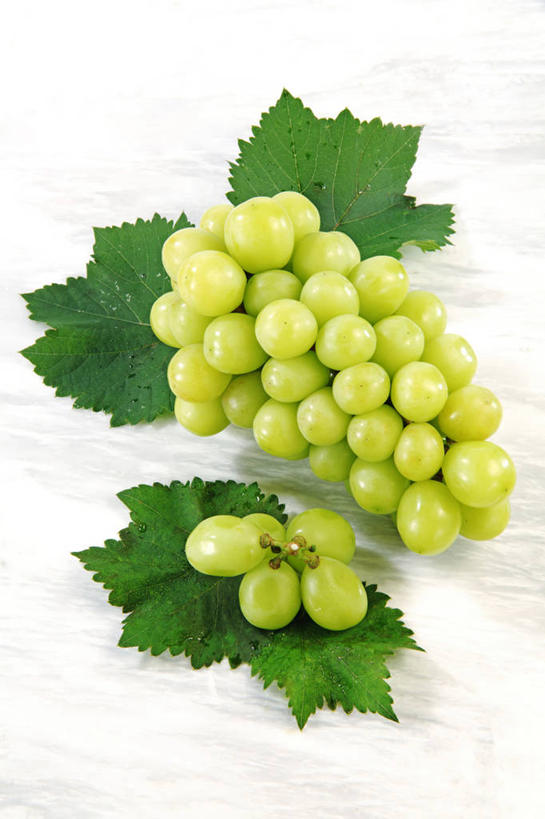 无人,竖图,俯视,室内,特写,白天,白色背景,葡萄,水果,叶子,一堆,许多,堆叠,堆积,新鲜,生食,食品,果实,绿叶,很多,食物,绿色,嫩叶,摄影,有机食品,绿色食品,影棚,堆,叶,叶片,山葫芦,蒲桃,草龙珠,彩图,高角度拍摄,影棚拍摄,拍摄,白麝香