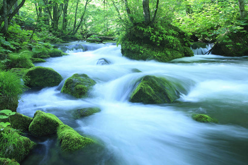 无人,横图,室外,白天,正面,旅游,度假,河流,石头,美景,水,植物,日本,亚洲,阴影,朦胧,模糊,光线,石子,影子,河水,景观,水流,云,云朵,青苔,苔藓,云彩,娱乐,树,树木,蓝色,绿色,白云,蓝天,天空,小溪,阳光,自然,天,溪水,享受,休闲,景色,放松,生长,晴朗,成长,自然风光,东亚,本州,本州岛,日本国,青森,青森县,东北地方,奥入濑町,奥入濑溪流,石块,晴空,彩图,上北郡