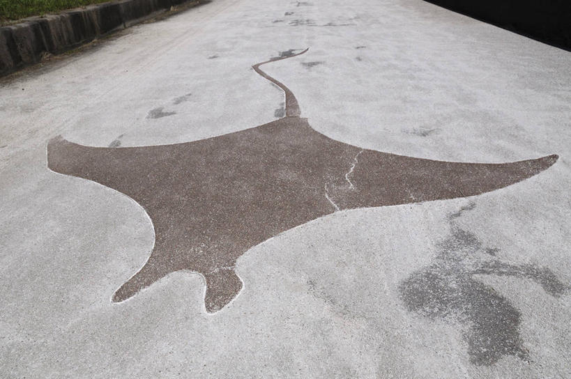 无人,横图,俯视,室外,白天,度假,美景,城市风光,城市,雕塑,东京,日本,亚洲,阴影,光线,影子,景观,江东区,娱乐,鱼类,阳光,享受,休闲,景色,放松,东亚,魟鱼,本州,关东地方,本州岛,日本国,东京都,彩图,高角度拍摄