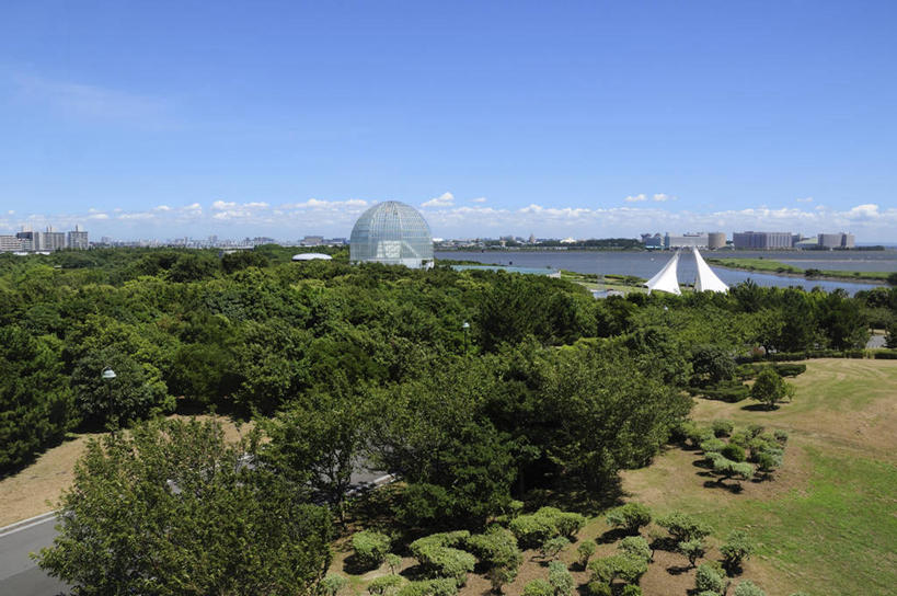 无人,公园,家,横图,俯视,室外,白天,度假,草地,草坪,河流,美景,水,植物,城市风光,城市,道路,路,公路,东京,日本,亚洲,阴影,光线,影子,房屋,屋子,河水,景观,水流,云,云朵,公寓,分界线,停车线,交通,云彩,娱乐,洋房,楼房,住宅,草,树,树木,蓝色,绿色,白云,蓝天,天空,阳光,自然,天,享受,休闲,景色,放松,生长,晴朗,成长,车行道,车行道分界线,标线,东亚,车行线,本州,关东地方,本州岛,日本国,东京都,荒川区,江户川区,晴空,马路,彩图,高角度拍摄,房子,东京23区,葛西临海公园