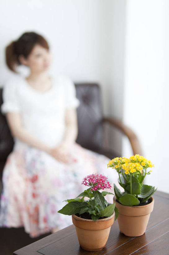 东方人,一个人,坐,竖图,俯视,室内,白天,植物,沙发,桌面,桌子,亚洲,仅一个年轻女性,仅一个女性,仅一个人,阴影,服装,朦胧,模糊,盛开,反射,木制,盆栽,影子,墙,盆景,花蕾,两束,注视,休闲装,黄种人,墙壁,墙面,花,花瓣,花朵,鲜花,两个,衣服,粉色,黄色,绿色,白色,黑色,自然,木制品,花苞,花蕊,观察,看,休闲,休闲服,搭,服饰,生长,成长,观看,察看,搭着,关注,年轻女性,女人,女性,亚洲人,坐着,半身,彩图,高角度拍摄,皮沙发