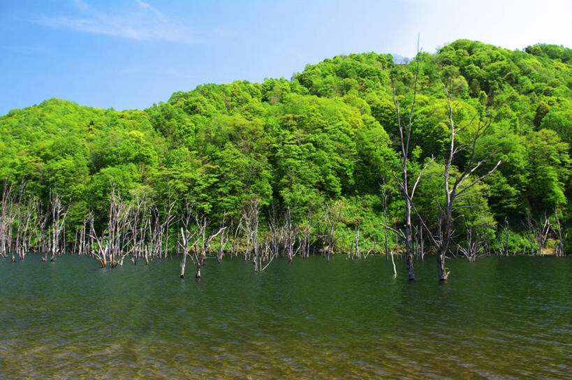 无人,横图,室外,白天,正面,旅游,度假,河流,美景,树林,水,植物,北海道,日本,亚洲,阴影,光线,影子,河水,景观,水流,云,云朵,云彩,娱乐,树,树木,蓝色,绿色,白云,蓝天,天空,阳光,自然,天,享受,休闲,景色,放松,生长,晴朗,成长,自然风光,东亚,日本国,北海道地方,北海道岛,晴空,彩图,赤井川村,后志支厅,后志综合振兴局,余市郡,道央