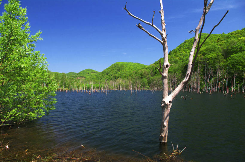 无人,横图,室外,白天,正面,旅游,度假,湖,湖泊,美景,树林,水,植物,北海道,日本,亚洲,阴影,光线,影子,湖面,景观,水流,水面,云,云朵,云彩,娱乐,树,树木,蓝色,绿色,白云,蓝天,天空,阳光,自然,湖水,天,享受,休闲,景色,放松,生长,晴朗,成长,自然风光,东亚,日本国,北海道地方,北海道岛,晴空,彩图,赤井川村,后志支厅,后志综合振兴局,余市郡,道央