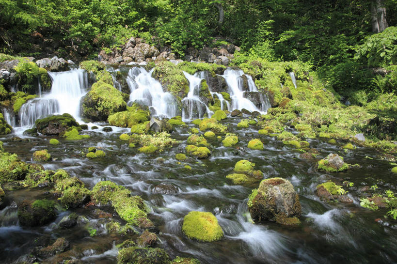 无人,横图,室外,白天,正面,旅游,度假,草地,草坪,河流,礁石,石头,美景,水,植物,北海道,日本,亚洲,阴影,飞溅,溅,光线,石子,影子,河水,景观,水流,青苔,苔藓,娱乐,草,绿色,阳光,自然,享受,休闲,景色,放松,喷洒,自然风光,东亚,日本国,北海道地方,北海道岛,羊蹄山,支笏洞爷国立公园,礁,石块,岩石,彩图