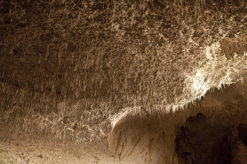 无人,横图,室内,白天,仰视,旅游,度假,石头,美景,天花板,欧洲,斯洛文尼亚,阴影,反射,影子,景观,娱乐,自然,享受,休闲,景色,放松,洞穴,自然风光,中欧,钟乳石,石钟乳,斯洛文尼亚共和国,洞窟,窟窿,石块,岩石,彩图,低角度拍摄,波斯托伊纳