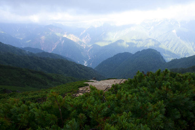无人,横图,室外,白天,正面,旅游,度假,美景,山,山脉,树林,植物,长野县,日本,亚洲,阴影,新鲜,光线,影子,景观,山峰,山峦,娱乐,树,树木,绿色,阳光,自然,群山,享受,休闲,景色,放松,生长,成长,青春,生命,自然风光,和平,安详,东亚,本州,本州岛,日本国,中部地方,长野,冷色,安昙野,安昙野市,彩图