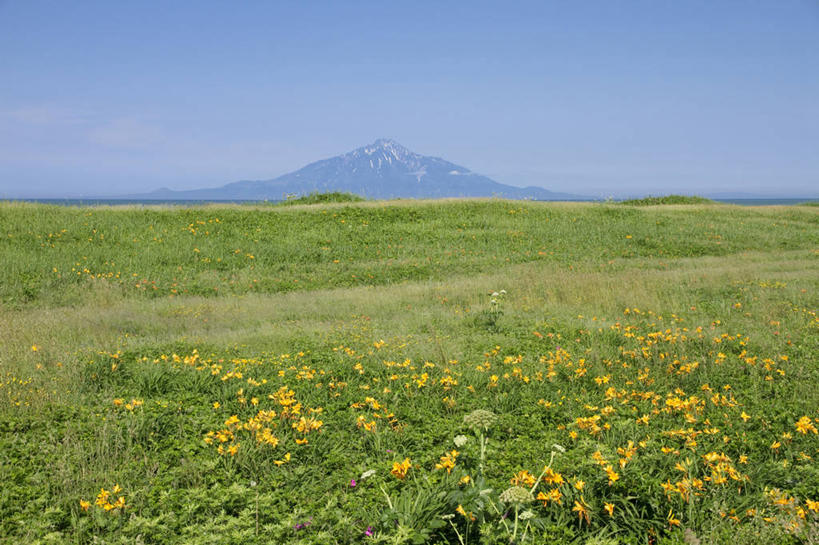 无人,横图,室外,白天,正面,旅游,度假,花海,花圃,美景,山,山脉,植物,萱草,叶子,日本,亚洲,盛开,地平线,景观,山峰,辽阔,地面,山峦,花蕾,娱乐,花,花瓣,花朵,花卉,鲜花,绿色,自然,花丛,花束,花田,群山,花苞,花蕊,享受,休闲,广阔,景色,放松,一望无际,自然风光,延伸,东亚,日本国,天地相交,疗愁,萱草花,宜男,无边无际,一马平川,忘忧草,金针菜,黄花菜,黄花,彩图