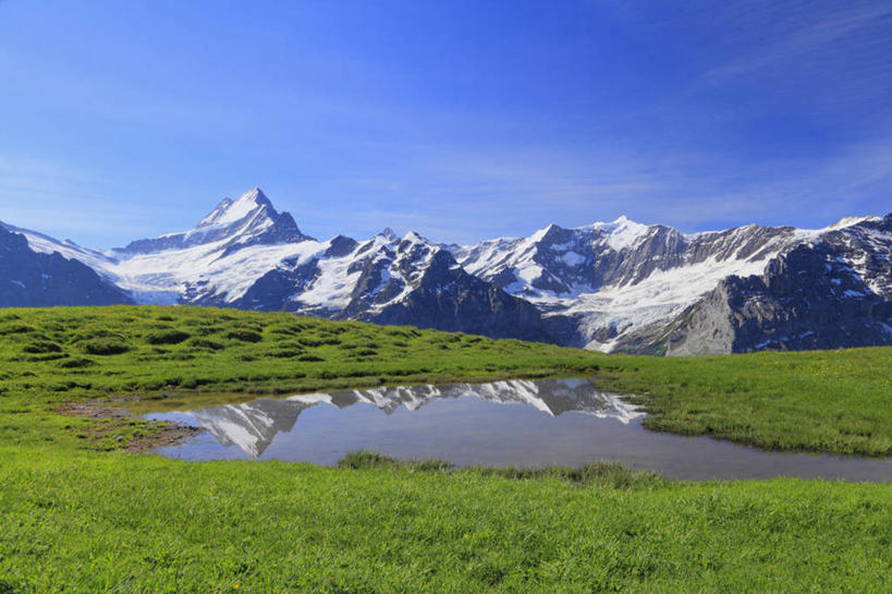 无人,横图,室外,白天,正面,旅游,度假,草地,草坪,美景,山,雪,雪山,植物,大雪,瑞士,欧洲,阴影,光线,影子,冰,池塘,积雪,景观,山峰,水池,雪景,云,云朵,冬季,冬天,山峦,云彩,娱乐,草,蓝色,绿色,白云,倒影,蓝天,天空,阳光,自然,天,享受,休闲,景色,放松,寒冷,晴朗,冰冷,倒映,自然风光,中欧,严寒,瑞士联邦,冰凉,酷寒,凛冽,凛凛,极冷,反照,晴空,彩图,格林德尔瓦尔德