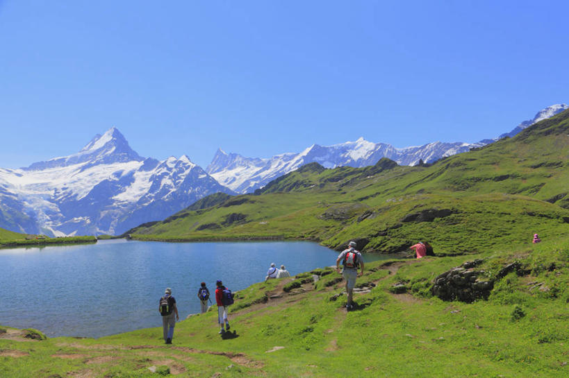 西方人,站,横图,室外,白天,旅游,度假,草地,草坪,湖,湖泊,美景,山,水,雪,雪山,植物,大雪,瑞士,欧洲,欧洲人,行人,游客,游人,阴影,服装,光线,包,影子,冰,湖面,积雪,景观,山峰,水流,水面,雪景,冬季,冬天,山峦,许多人,旅行包,注视,休闲装,娱乐,路人,旅客,草,背面,衣服,蓝色,绿色,蓝天,天空,阳光,自然,背包,湖水,天,观察,看,站着,一群人,享受,休闲,休闲服,景色,放松,寒冷,服饰,晴朗,观看,察看,冰冷,关注,自然风光,中欧,万里无云,严寒,瑞士联邦,旅游包,冰凉,酷寒,凛冽,凛凛,极冷,过客,男人,男性,年轻男性,年轻女性,女人,女性,白种人,晴空,晴空万里,站立,彩图,全身,格林德尔瓦尔德,双肩包