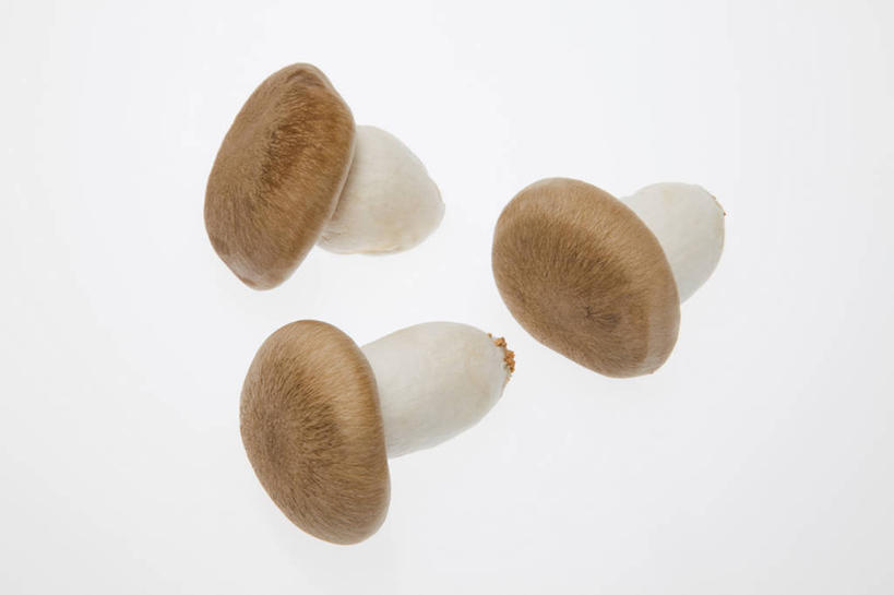 无人,横图,室内,特写,白天,白色背景,正面,蔬菜,新鲜,菌菇,食品,菌类,平菇,食物,三个,食用菌,摄影,有机食品,绿色食品,影棚,真菌,姬菇,糙皮侧耳,侧耳,黑牡丹菇,彩图,影棚拍摄,拍摄