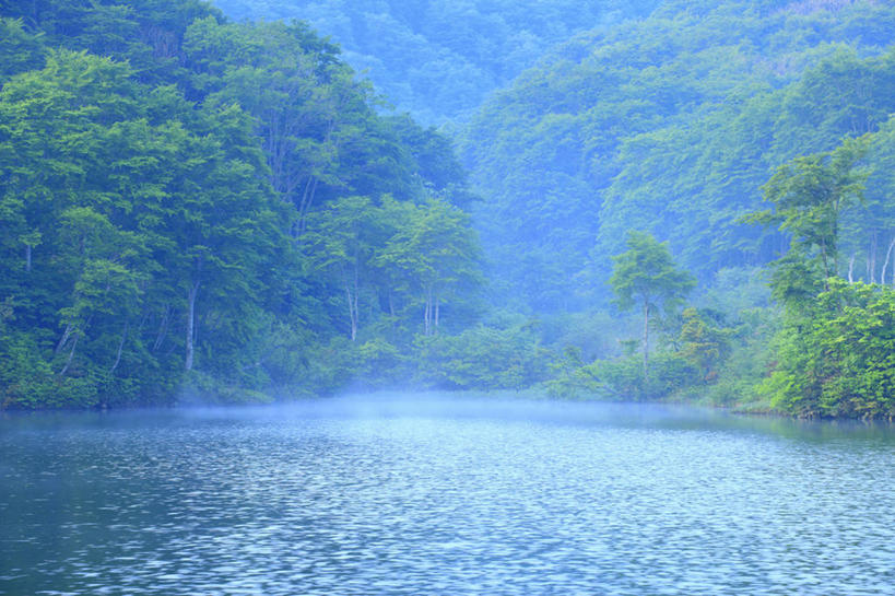 无人,横图,室外,白天,正面,旅游,度假,湖,湖泊,美景,森林,树林,水,植物,雾,日本,亚洲,波纹,朦胧,模糊,湖面,景观,水流,水面,涟漪,娱乐,树,树木,绿色,倒影,水纹,自然,波浪,湖水,享受,休闲,景色,放松,生长,成长,迷雾,倒映,自然风光,东亚,本州,本州岛,日本国,中部地方,水晕,新潟,新潟县,反照,大雾,彩图,十日町市