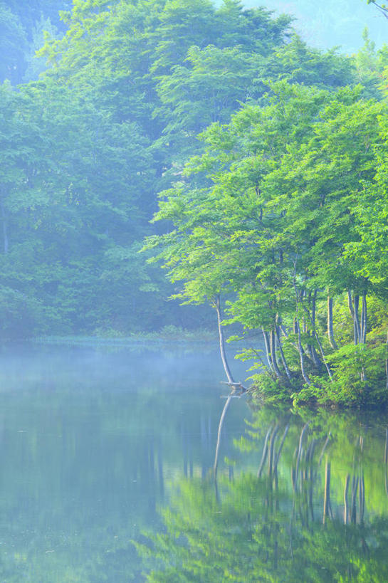 无人,竖图,室外,白天,正面,旅游,度假,湖,湖泊,美景,森林,树林,水,植物,雾,日本,亚洲,波纹,朦胧,模糊,湖面,景观,水流,水面,涟漪,娱乐,树,树木,绿色,倒影,水纹,自然,波浪,湖水,享受,休闲,景色,放松,生长,成长,迷雾,倒映,自然风光,东亚,本州,本州岛,日本国,中部地方,水晕,新潟,新潟县,反照,大雾,彩图,十日町市