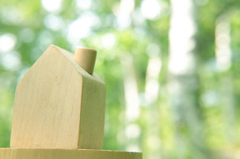 无人,家,横图,室外,特写,白天,正面,美景,森林,树林,植物,长野县,日本,亚洲,阴影,环保,朦胧,模糊,立体,光线,空间,木制,影子,房屋,屋子,景观,树桩,楼房,住宅,树,树干,树木,绿色,阳光,自然,模型,木制品,木桩,景色,规划,生长,能源,成长,回收,资源,自然风光,利用,低碳,东亚,循环,本州,本州岛,日本国,中部地方,长野,诹访,直观,建筑模型,建筑设计,持续,诹访市,设计,彩图,房子