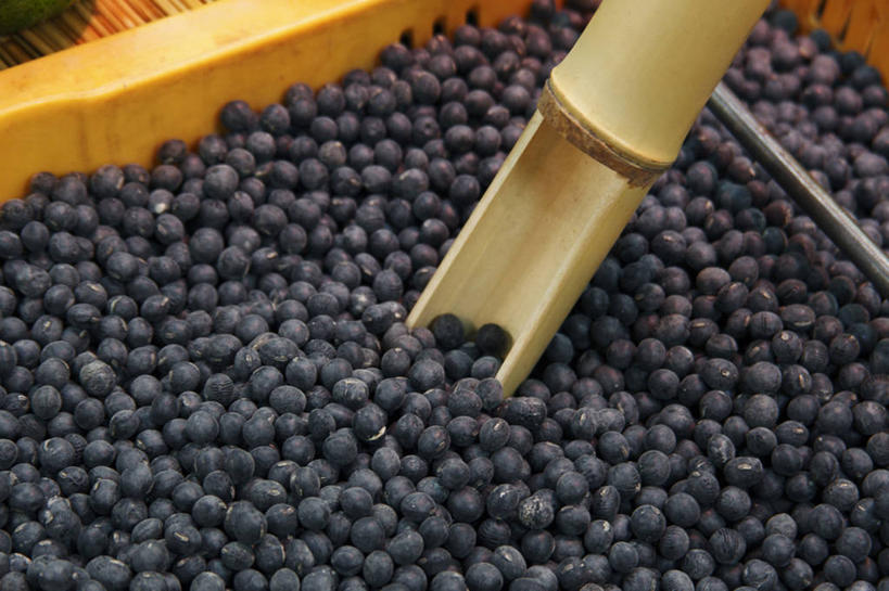 无人,横图,俯视,室内,特写,白天,植物,豆,蔬菜,一堆,许多,阴影,堆叠,堆积,新鲜,反射,木制,影子,豆类,豆子,黑豆,食品,很多,食物,黑色,木制品,容器,有机食品,绿色食品,储藏,堆,储存,豆科,乌豆,乌大豆,彩图,高角度拍摄,丹波黑大豆,丹波黑豆,贮存