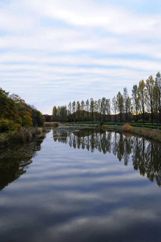 无人,竖图,室外,白天,正面,旅游,度假,河流,美景,树林,水,植物,东京,日本,亚洲,一排,阴影,整齐,并列,并排,光线,影子,河水,景观,水流,云,云朵,云彩,娱乐,树,树木,排列,蓝色,绿色,白云,蓝天,天空,阳光,自然,天,享受,休闲,景色,放松,生长,晴朗,成长,队列,自然风光,平行,东亚,本州,关东地方,本州岛,日本国,东京都,水元公园,葛饰区,晴空,彩图