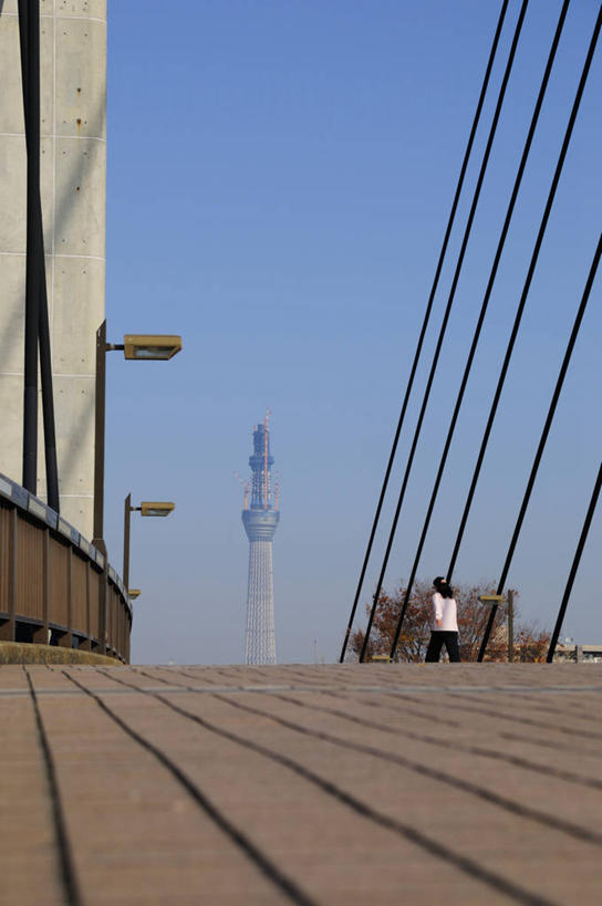 无人,竖图,室外,白天,正面,度假,美景,城市风光,标志建筑,城市,大桥,地标,建筑,立交桥,桥梁,东京,日本,亚洲,阴影,光线,影子,景观,高架,建筑群,斜拉桥,桥,娱乐,建设,蓝色,蓝天,天空,阳光,天,享受,休闲,景色,放松,晴朗,东亚,本州,万里无云,关东地方,本州岛,日本国,东京都,墨田区,天空树塔,晴空,晴空万里,彩图,东京晴空塔,东京天空树,墨田塔,新东京铁塔