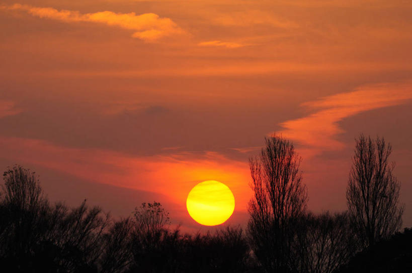 无人,横图,室外,白天,仰视,旅游,度假,美景,日落,树林,太阳,植物,东京,日本,亚洲,阴影,光线,影子,景观,晚霞,霞光,云,云朵,落日,火烧云,背光,云彩,娱乐,树,树木,红色,绿色,阳光,自然,黄昏,享受,休闲,景色,彩霞,放松,生长,成长,杨树,火红,自然风光,逆光,东亚,银白杨,本州,关东地方,本州岛,日本国,东京都,赤色,夕照,薄暮,夕阳,彩图,低角度拍摄,傍晚,低云,斜阳