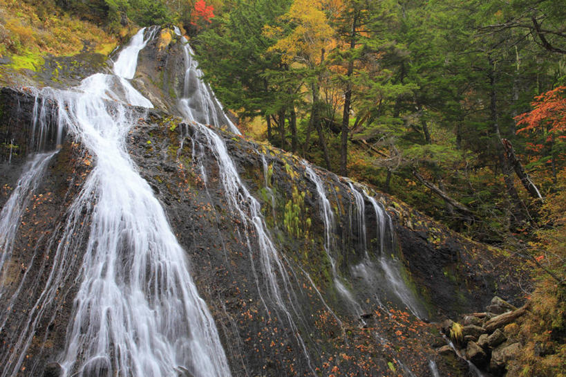 无人,横图,室外,白天,仰视,旅游,度假,石头,美景,瀑布,树林,水,峡谷,植物,长野县,日本,亚洲,飞溅,溅,石子,液体,景观,水滴,山谷,娱乐,水珠,树,树木,绿色,自然,享受,休闲,景色,放松,生长,成长,岩层,喷洒,自然风光,东亚,本州,本州岛,日本国,中部地方,岐阜,岐阜县,长野,乘鞍高原,跌水,石块,岩石,彩图,低角度拍摄