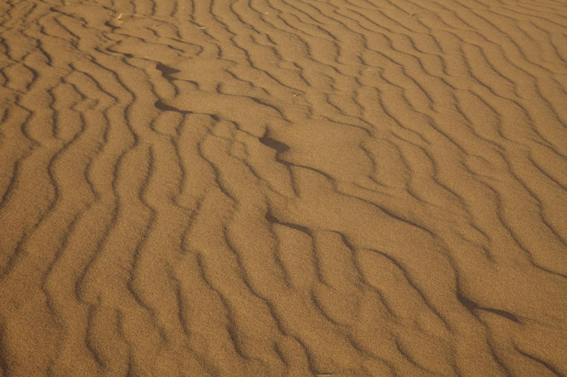 无人,横图,俯视,室外,特写,白天,旅游,度假,美景,沙漠,日本,亚洲,阴影,光线,纹路,纹理,影子,景观,娱乐,阳光,自然,享受,休闲,景色,放松,自然风光,东亚,本州,肌理,本州岛,日本国,中国地方,鸟取,鸟取沙丘,鸟取县,大漠,砂漠,彩图,高角度拍摄