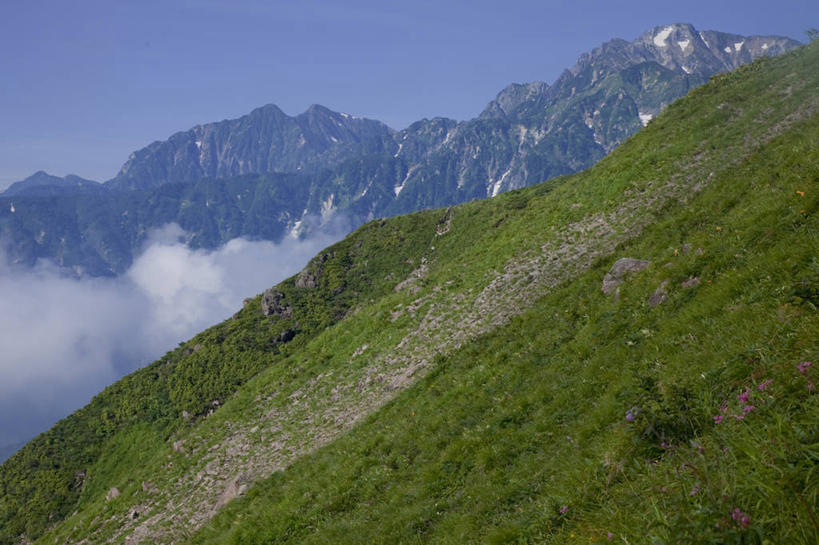 无人,横图,室外,白天,正面,旅游,度假,草地,草坪,美景,山,山脉,树林,植物,长野县,富山县,日本,亚洲,阴影,光线,影子,景观,山峰,云,云朵,云海,山峦,云层,云彩,娱乐,草,树,树木,蓝色,绿色,白云,蓝天,天空,阳光,自然,群山,天,享受,休闲,景色,放松,生长,晴朗,成长,自然风光,东亚,本州,本州岛,日本国,中部地方,长野,富山,北安,北安昙郡,自然景观,晴空,彩图,白马村,黑部市,唐松岳山