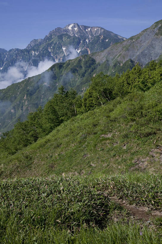 无人,竖图,室外,白天,正面,旅游,度假,草地,草坪,美景,山,山脉,树林,植物,长野县,富山县,日本,亚洲,阴影,光线,影子,景观,山峰,云,云朵,云海,山峦,云层,云彩,娱乐,草,树,树木,蓝色,绿色,白云,蓝天,天空,阳光,自然,群山,天,享受,休闲,景色,放松,生长,晴朗,成长,自然风光,东亚,本州,本州岛,日本国,中部地方,长野,富山,北安,北安昙郡,自然景观,晴空,彩图,白马村,黑部市,唐松岳山