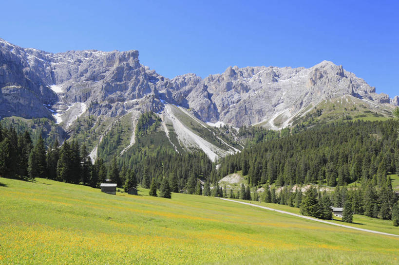 无人,横图,室外,白天,正面,旅游,度假,草地,草坪,石头,美景,山,山脉,树林,植物,意大利,欧洲,阿尔卑斯山,阴影,光线,石子,影子,景观,山峰,山峦,娱乐,草,树,树木,蓝色,绿色,蓝天,天空,阳光,自然,群山,天,享受,休闲,景色,放松,生长,晴朗,成长,南欧,自然风光,阿尔卑斯山脉,万里无云,意大利共和国,威内托,威内托大区,多洛米蒂山脉,贝卢诺,贝卢诺省,石块,晴空,晴空万里,彩图,波尔萨诺,博尔扎诺,特伦托自治省