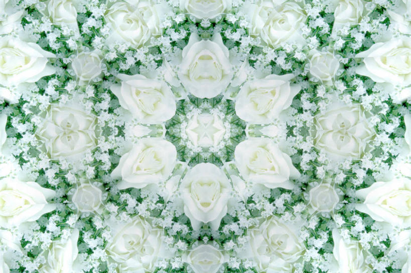 无人,横图,室内,特写,白天,正面,游戏,静物,玩具,万花筒,花纹,盛开,玩,花蕾,娱乐,花,花瓣,花朵,鲜花,绿色,白色,花苞,花蕊,休闲,益智,摄影,影棚,活动,发泄,消遣,智力,宣泄,玩耍,嬉戏,彩图,影棚拍摄,拍摄,光学玩具