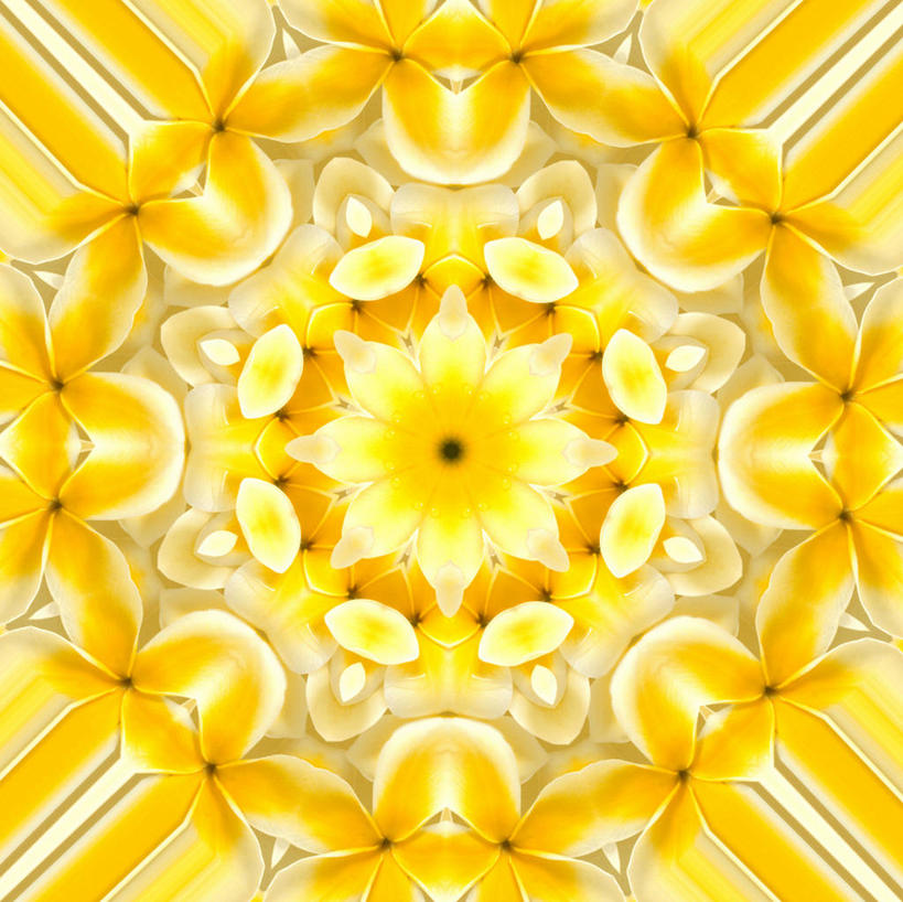 无人,横图,室内,特写,白天,正面,游戏,静物,玩具,万花筒,花纹,环绕,盛开,围绕,透明,辉煌,玩,花蕾,环抱,娱乐,花,花瓣,花朵,鲜花,黄色,花苞,花蕊,休闲,健康,益智,摄影,活泼,影棚,活动,希望,暖色,发泄,消遣,智力,光辉,宣泄,光明,萦绕,功名,轻快,玩耍,嬉戏,彩图,影棚拍摄,拍摄,光学玩具