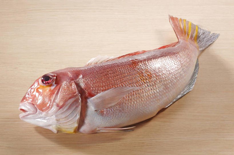 海鲜,无人,横图,俯视,室内,特写,白天,桌面,桌子,一条,阴影,反射,木制,影子,水产,海洋生物,红色,木制品,张嘴,水生动物,海产品,水生物,张大嘴巴,海底动物,白方头鱼,方头鱼,甘鲷,红马头,马头鱼,银方头鱼,张开嘴,彩图,高角度拍摄,全身