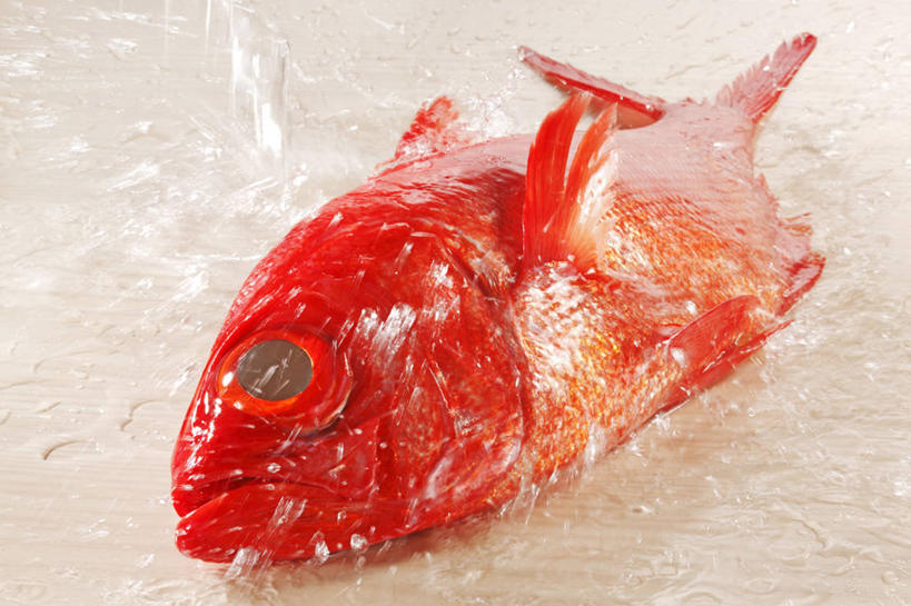 无人,横图,俯视,室内,特写,白天,水,桌面,桌子,一条,阴影,飞溅,溅,反射,木制,鱼,液体,影子,水滴,鲷鱼,鱼类,海洋生物,水珠,红色,木制品,鲷,加吉鱼,金眼鲷,铜盆鱼,喷洒,水生动物,水生物,海底动物,班加吉,加真鲷,彩图,高角度拍摄,全身