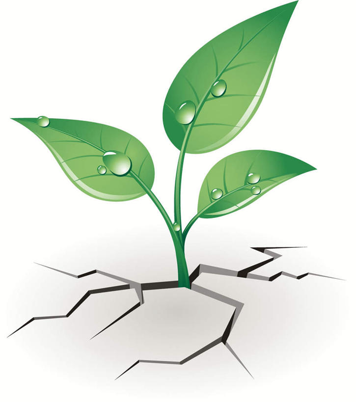 无人,竖图,插画,室内,白天,白色背景,正面,数码,科技,露水,叶子,阴影,缝隙,干枯,裂缝,裂痕,网络,绿叶,高光,几何,计算机图形,合成,嫩苗,图画,画,露珠,嫩叶,生长,成长,裂纹,干涸,电脑合成图,数码合成图,干旱,延伸,芽苗,漫画,发展,写实,具体,具象,枯竭,延长,叶,叶片,彩图