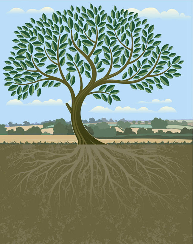 无人,竖图,插画,室内,白天,正面,数码,科技,植物,叶子,一棵,阴影,开裂,弯曲,缝隙,裂缝,网络,云,云朵,绿叶,高光,几何,计算机图形,合成,云彩,图画,画,树,树木,蓝色,绿色,白云,蓝天,天空,自然,天,嫩叶,生长,晴朗,成长,电脑合成图,数码合成图,漫画,漏洞,写实,具体,具象,叶,叶片,晴空,彩图