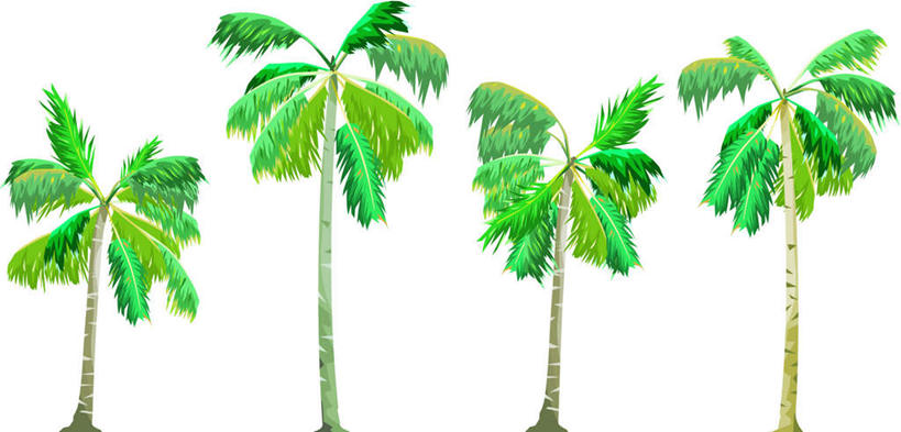 无人,横图,插画,室内,白天,正面,数码,科技,植物,棕榈树,叶子,一排,阴影,整齐,网络,绿叶,四棵,高光,几何,计算机图形,合成,图画,画,树,树木,排列,绿色,自然,嫩叶,生长,成长,电脑合成图,数码合成图,队列,漫画,棕榈叶,写实,具体,具象,叶,叶片,彩图