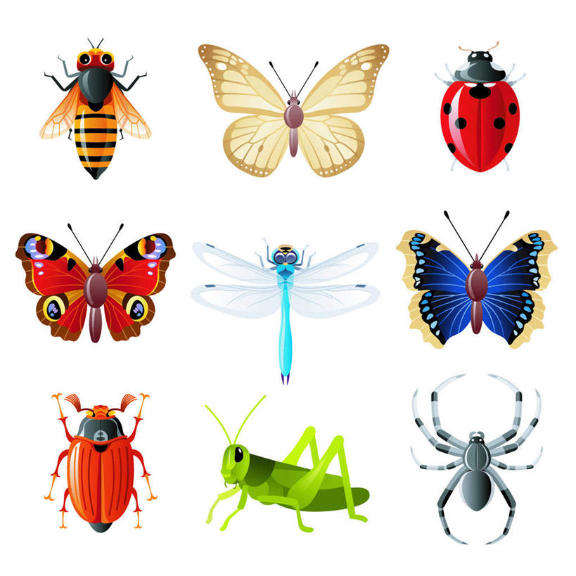 无人,方图,插画,室内,白天,正面,数码,科技,蝴蝶,蜜蜂,瓢虫,阴影,网络,蜻蜓,昆虫,蚱蜢,蜘蛛,斑点,高光,几何,计算机图形,合成,图画,画,排列,动物,蓝闪蝶,闪蝶,电脑合成图,数码合成图,八脚螅,蛾,飞蛾,队列,甲虫,节肢动物,扁旦勾,漫画,益虫,写实,具体,具象,波丝,蛾子,蓝摩尔福蝶,七星瓢虫,花大姐,彩图