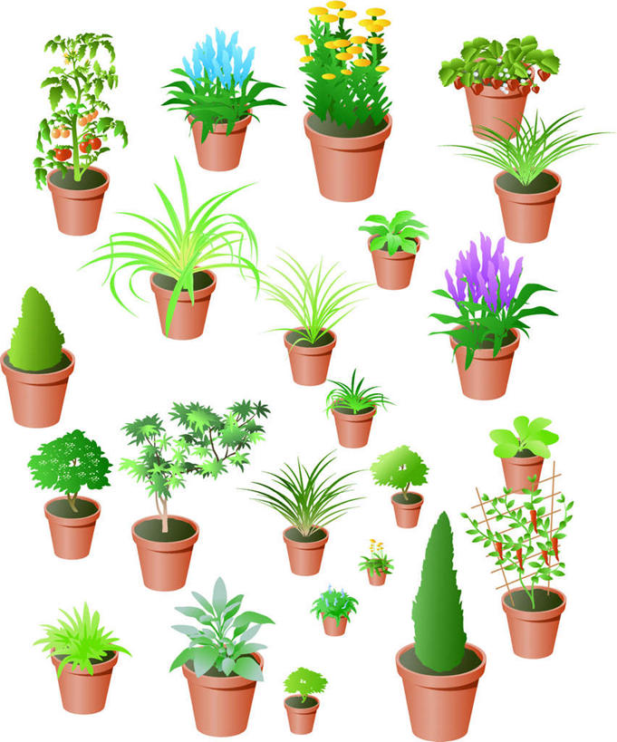 无人,家庭,竖图,插画,室内,白天,白色背景,正面,智慧,数码,科技,植物,草莓,浆果,辣椒,阴影,网络,盆栽,盆景,高光,几何,计算机图形,合成,图画,画,花卉,绿色,自然,生长,成长,电脑合成图,数码合成图,鼠尾草,大麻,花草,漫画,辣角,红海椒,大椒,辣虎,广椒,写实,具体,具象,理性,洋莓,水果皇后,红莓,地莓,辣子,红辣椒,海椒,番椒,彩图