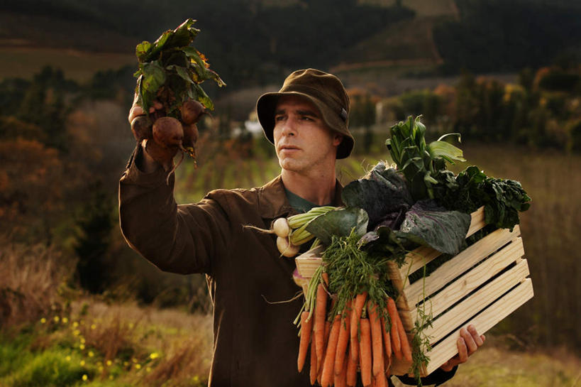 西方人,脸,头,脸颊,手,一个人,交叉,横图,室外,特写,白天,正面,旅游,度假,草地,草坪,美景,山,山脉,树林,植物,竹子,萝卜,胡萝卜,蔬菜,帽子,欧洲,欧洲人,仅一个男性,仅一个人,许多,握,竹制,服装,新鲜,编织,草帽,篮子,景观,山峰,韭菜,食品,山峦,拿,拿着,注视,休闲装,娱乐,草,树,树木,食物,仅一个年轻男性,衣服,绿色,自然,竹篮,群山,观察,看,享受,休闲,手部,休闲服,红球,景色,放松,握着,服饰,有机食品,绿色食品,生长,成长,观看,竹条,交织,察看,竹制品,关注,自然风光,起阳草,韭,山韭,长生韭,穿插,男人,男性,年轻男性,白种人,头部,脸部,脸蛋,面部,红萝卜,甘荀,半身,彩图