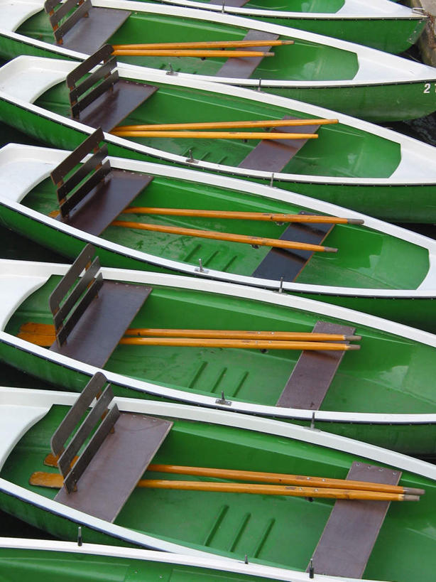 无人,竖图,室外,白天,正面,旅游,度假,船,一排,新鲜,整齐,船桨,木船,娱乐,排列,绿色,交通工具,享受,休闲,放松,青春,舟,生命,队列,载具,和平,安详,冷色,彩图